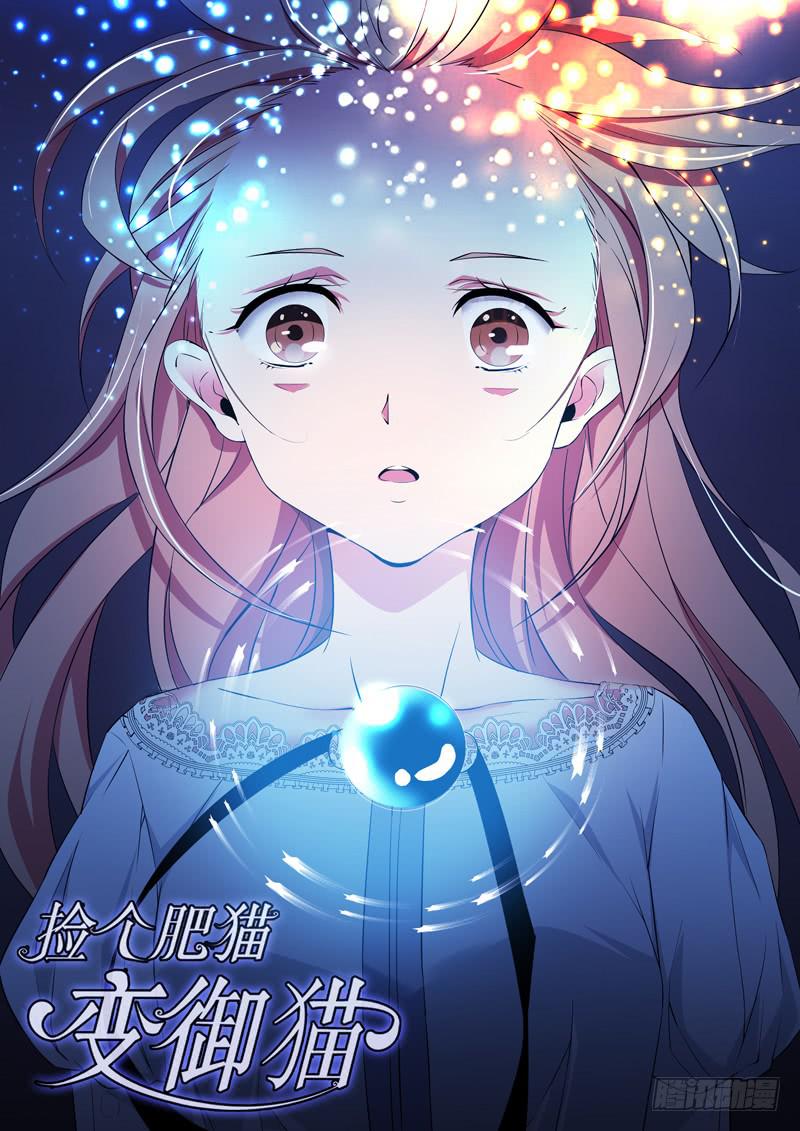 撿個肥貓變御貓 - 珠子的秘密 - 1