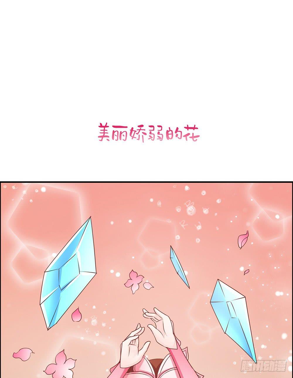王者幼兒園 - 王者帶淨化 - 2