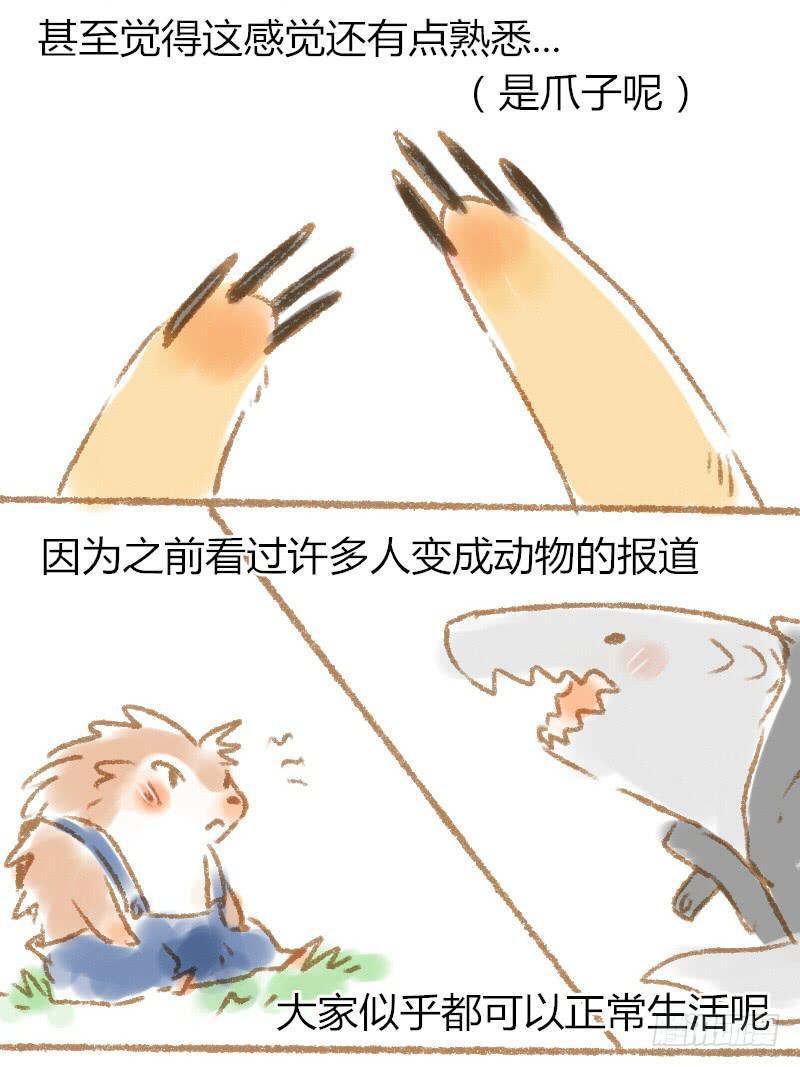 我的戀人是袋鼠！！ - 怎麼辦 - 2
