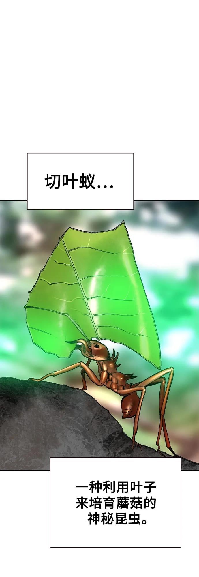 丛林果汁 - 第3季 第10話(1/2) - 第17张图