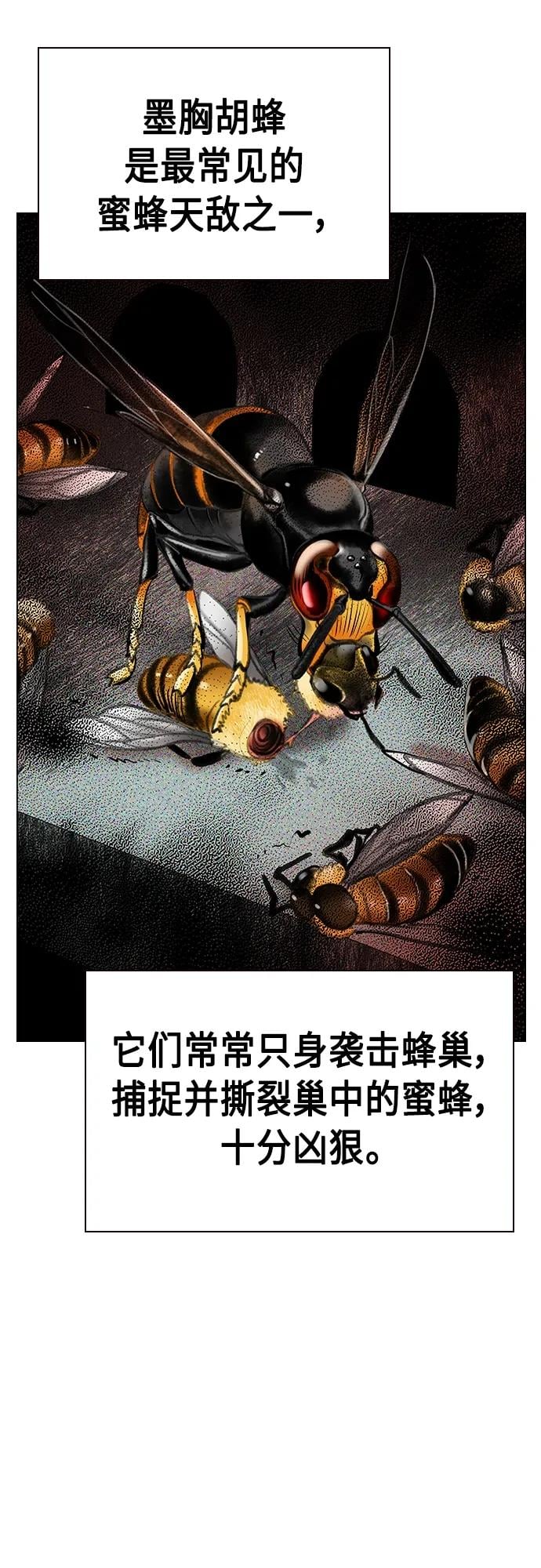 丛林果汁 - 第2季 第12话 - 第20张图