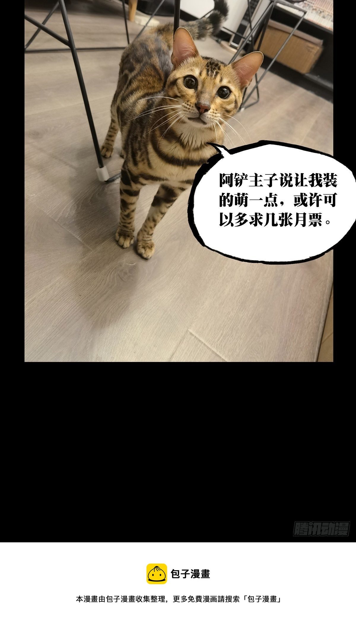 78.jpg