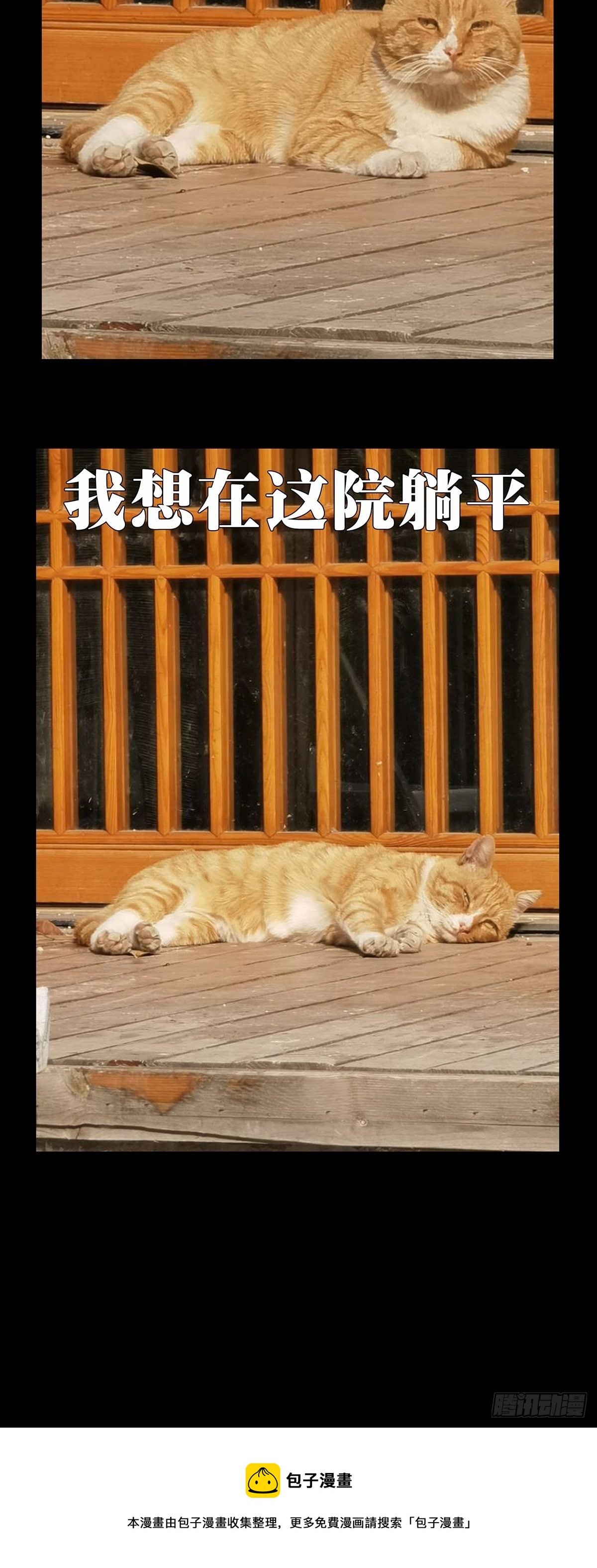 98.jpg