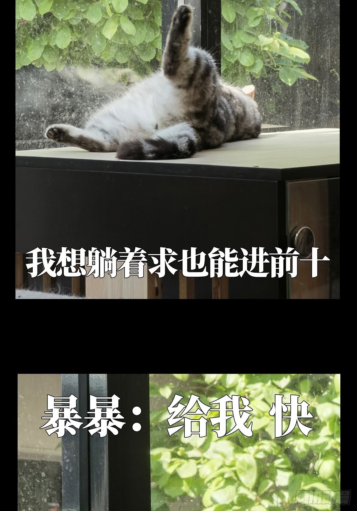 87.jpg