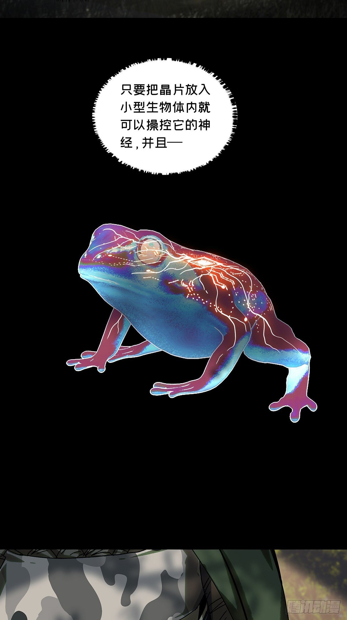 33.jpg