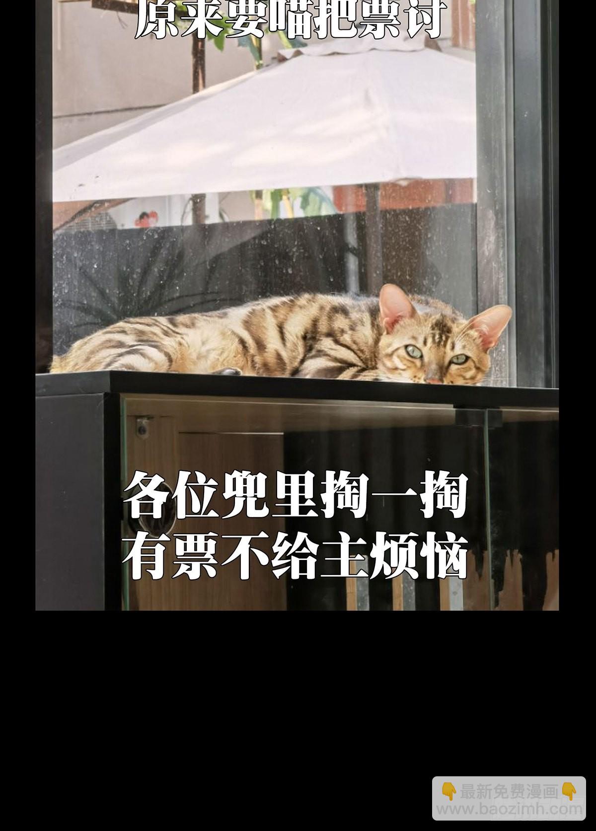82.jpg