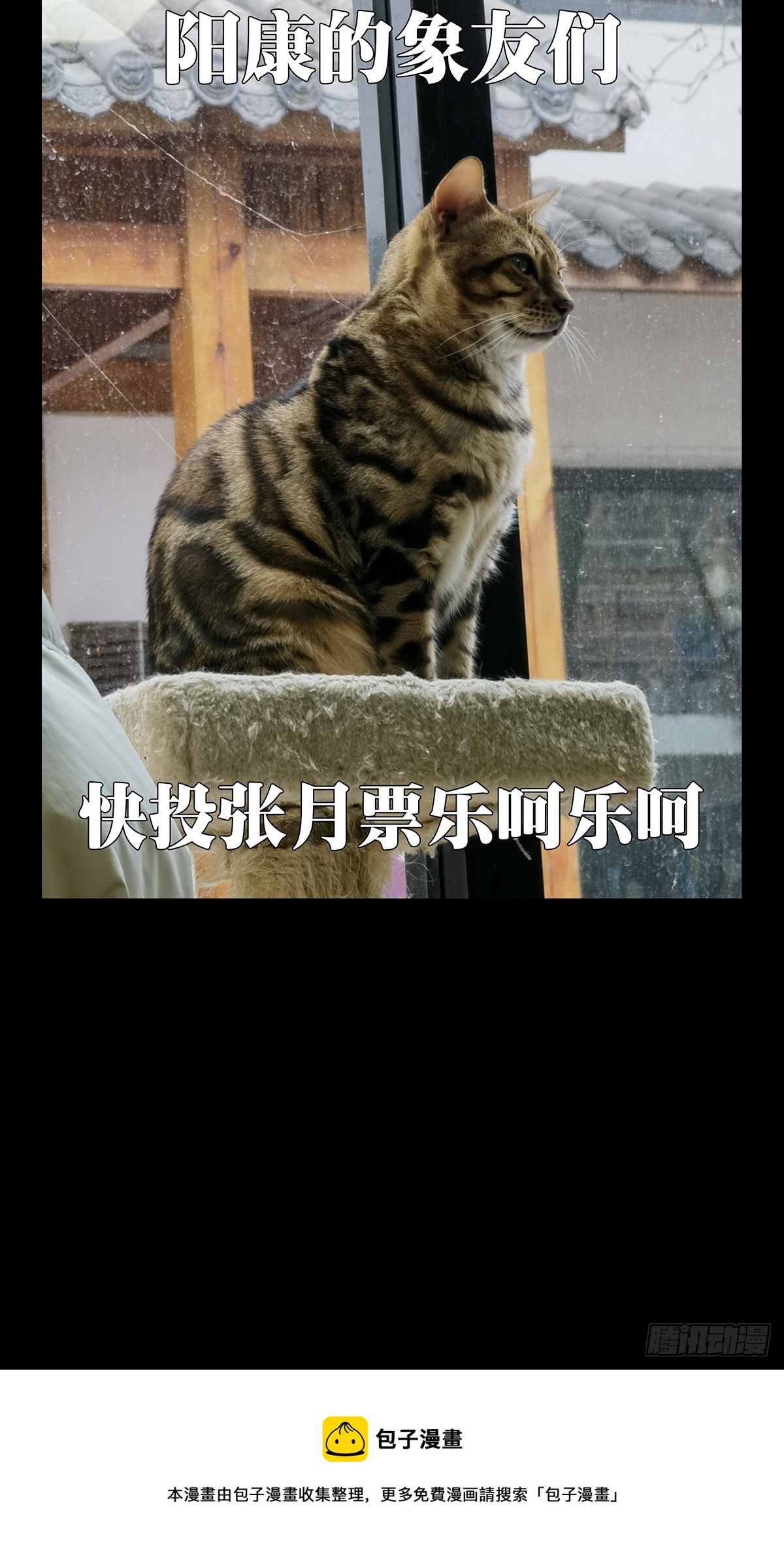 94.jpg