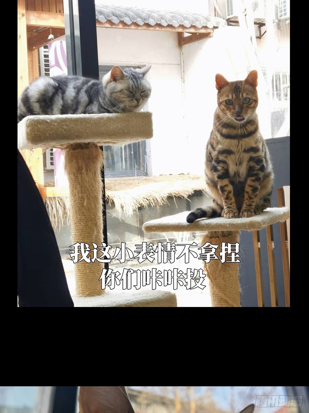 79.jpg