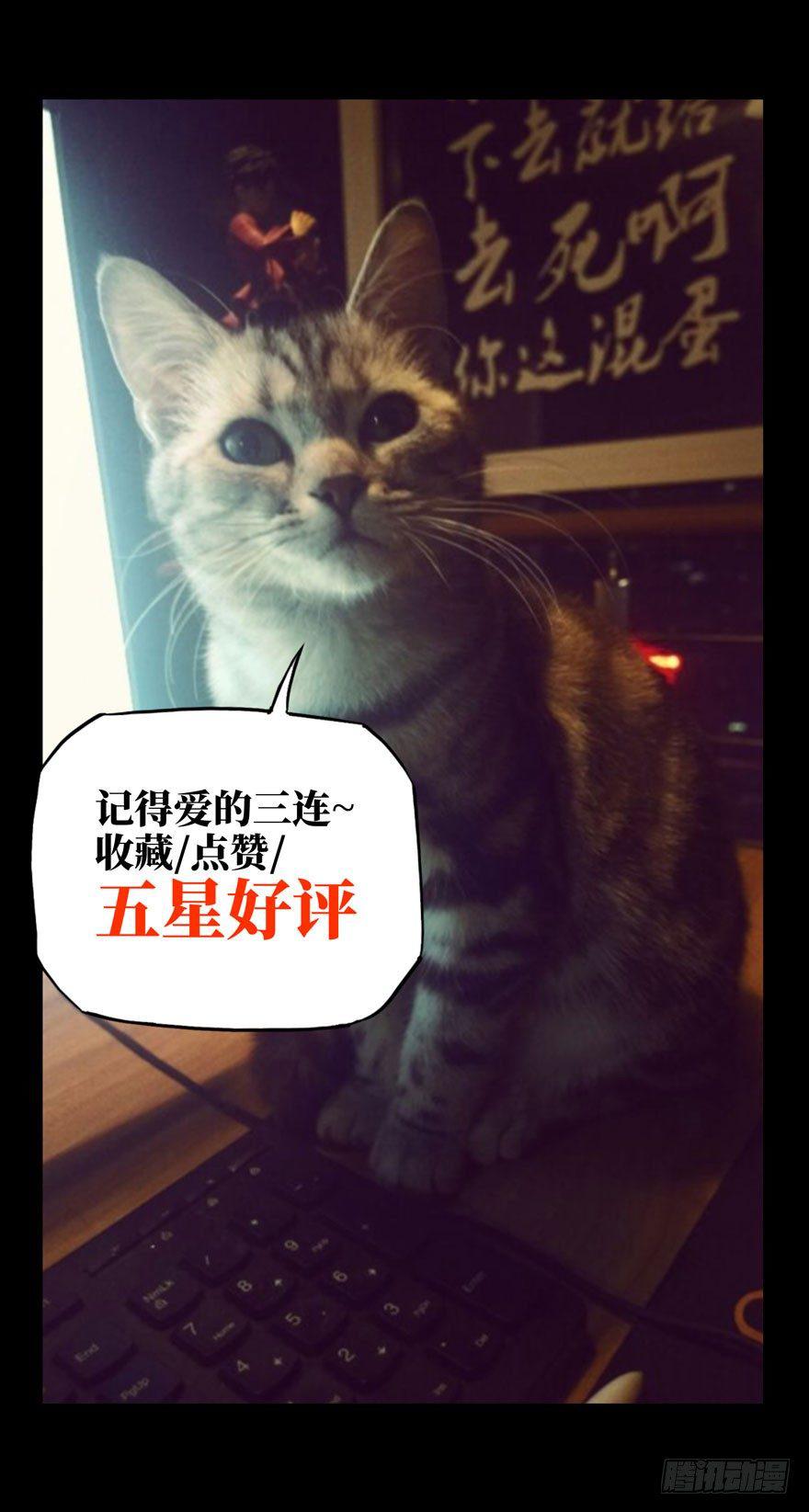 85.jpg