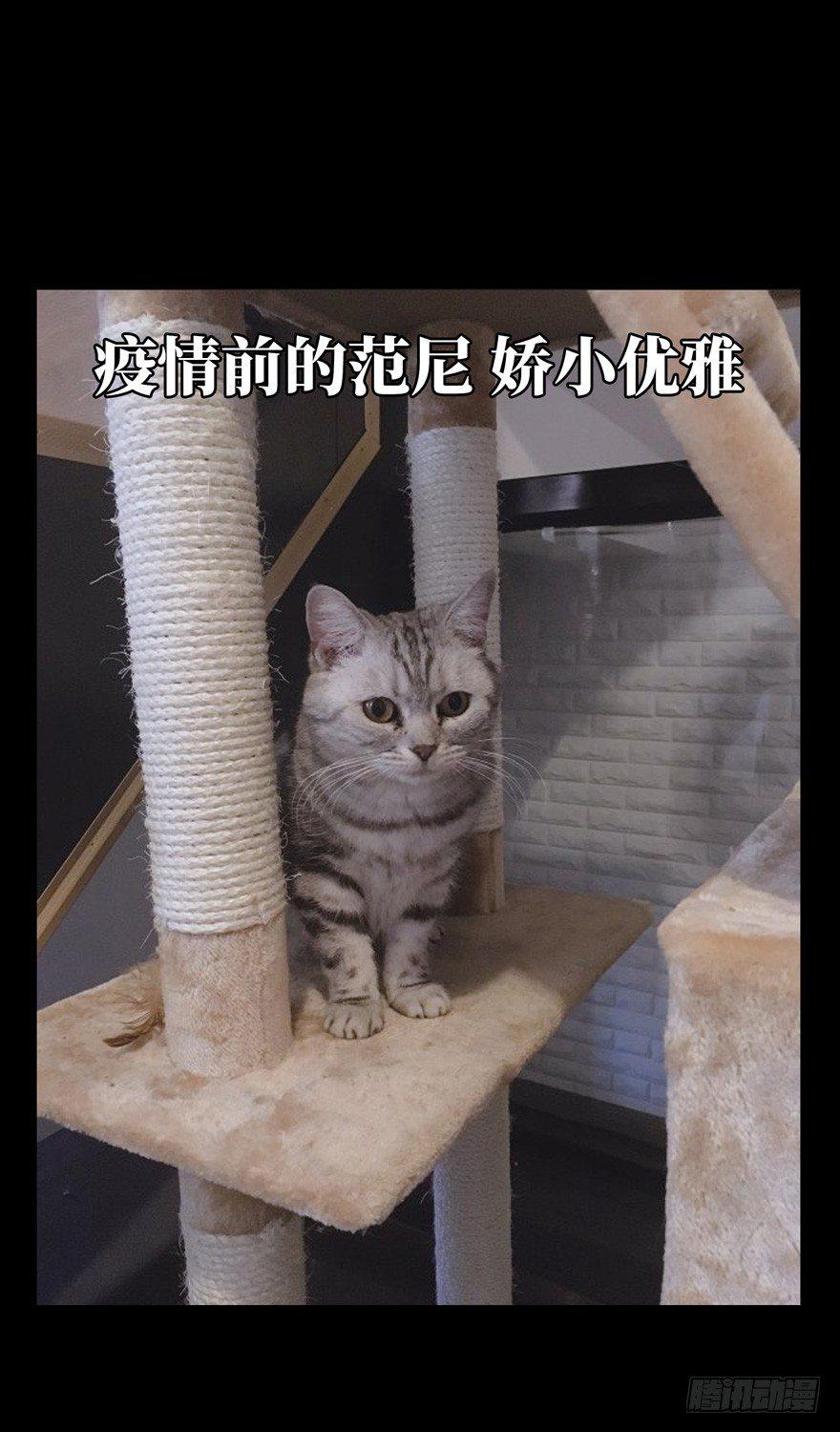88.jpg