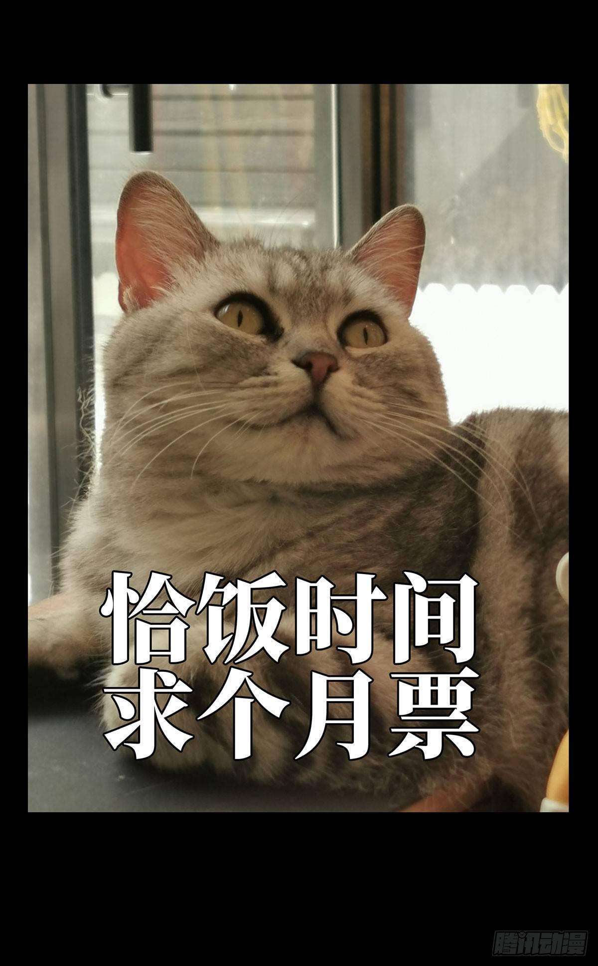 79.jpg