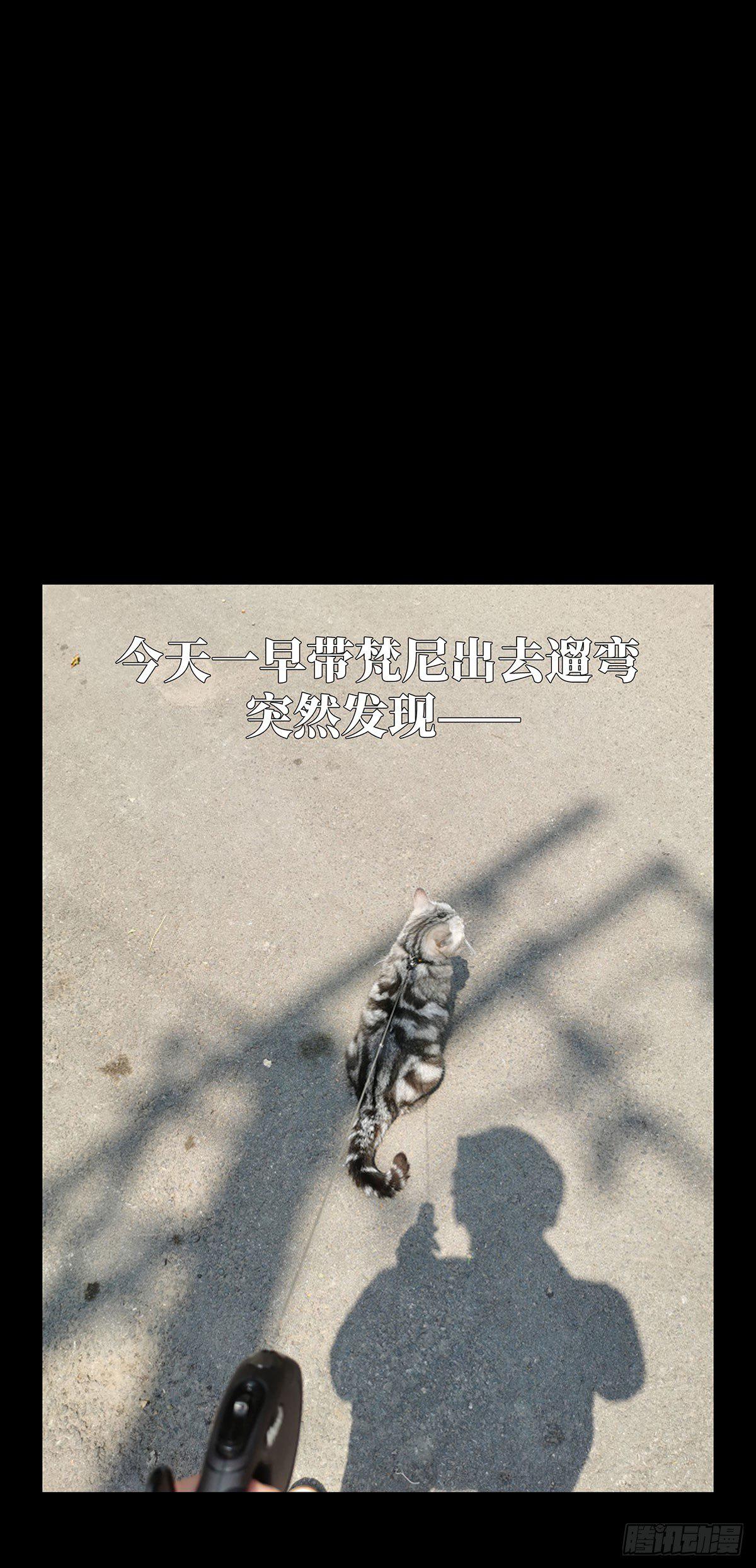 88.jpg