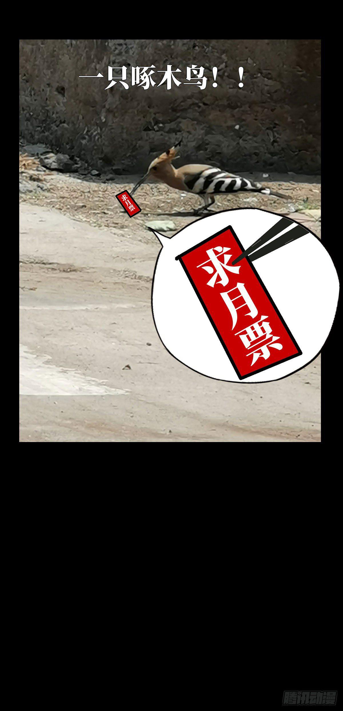 89.jpg