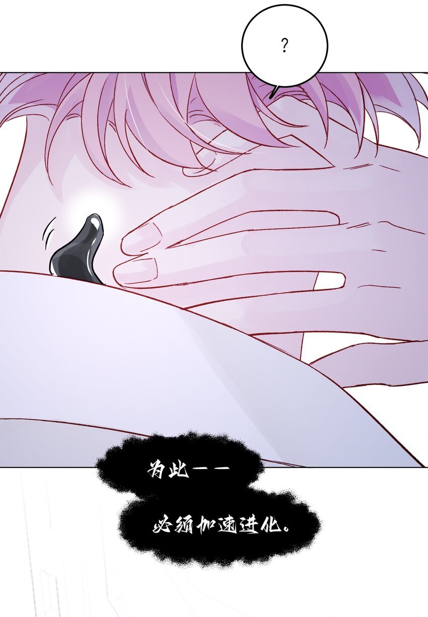 81.jpg