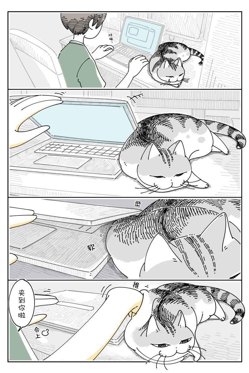 1.jpg