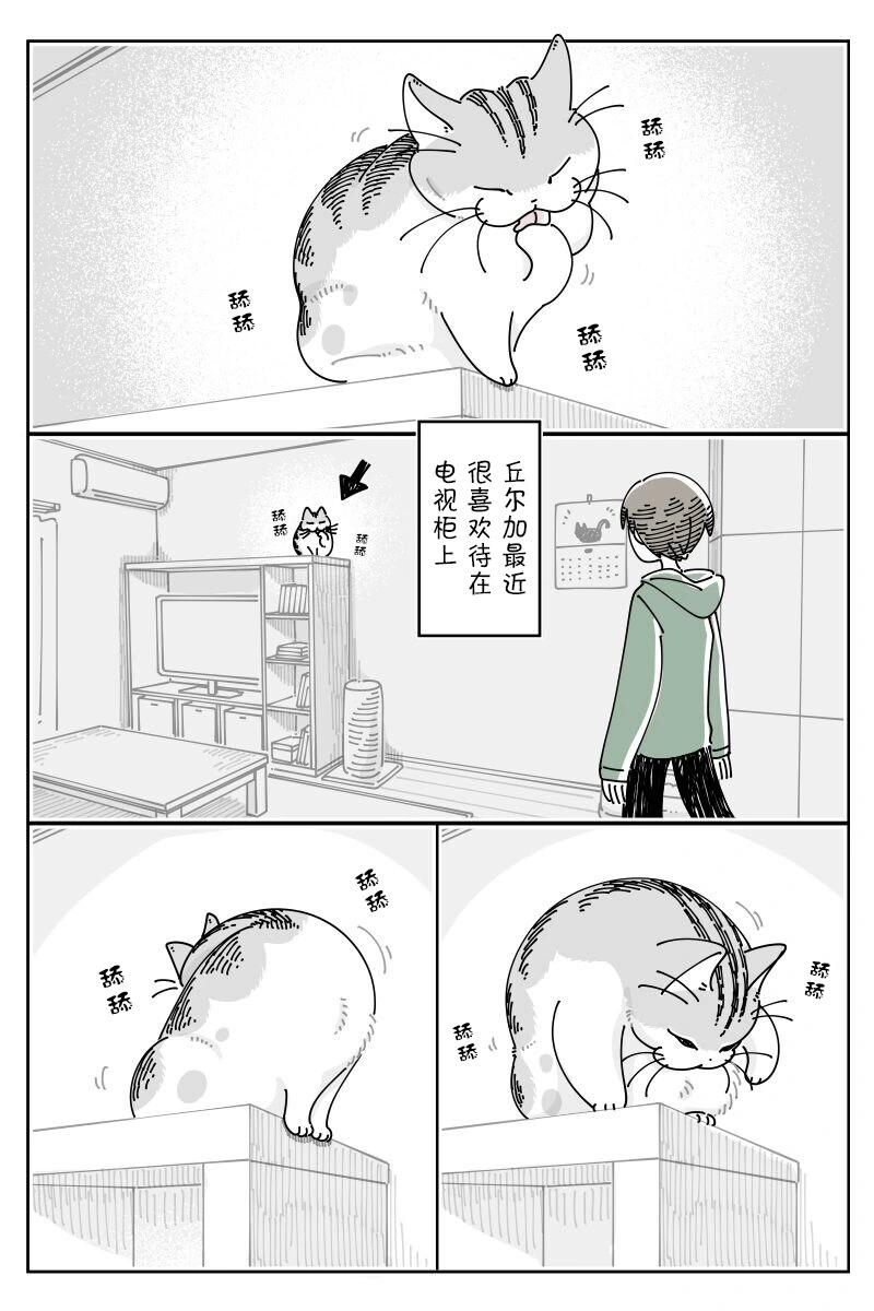 1.jpg