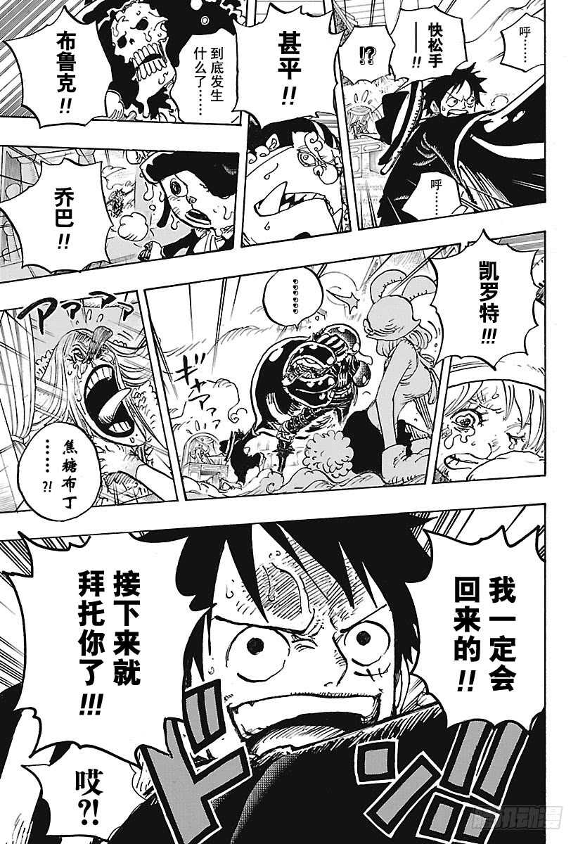 航海王 - 第878话 纯毛族 侠客团 团 - 第16张图