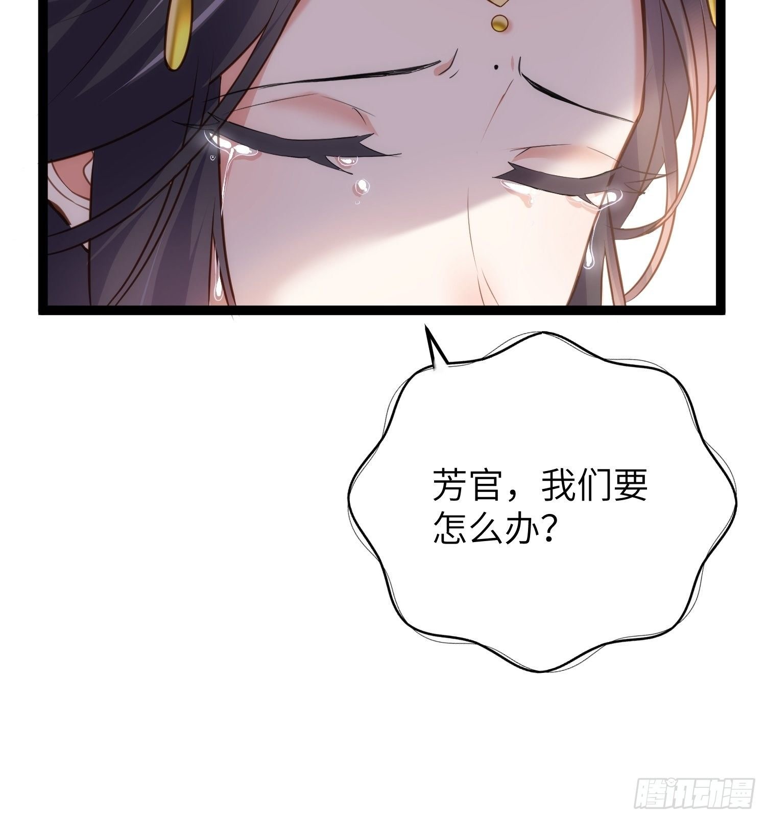 51.jpg