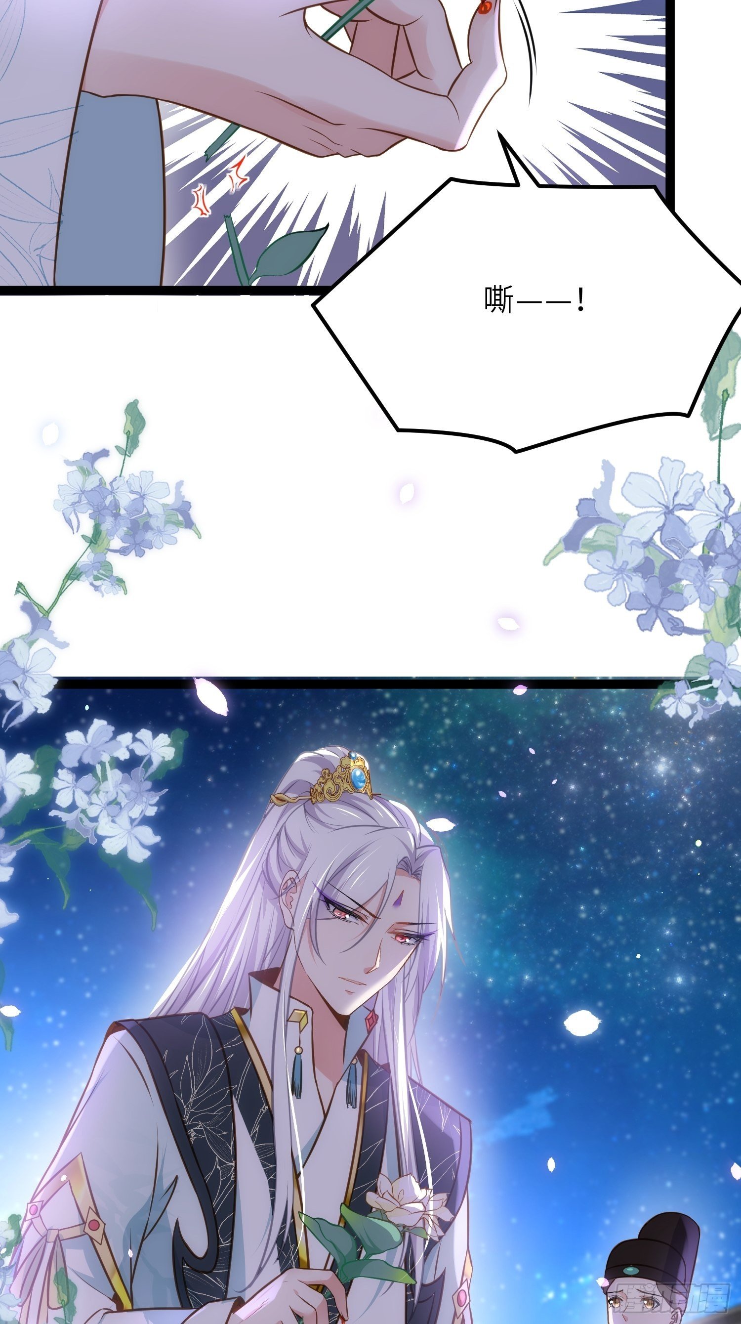 41.jpg