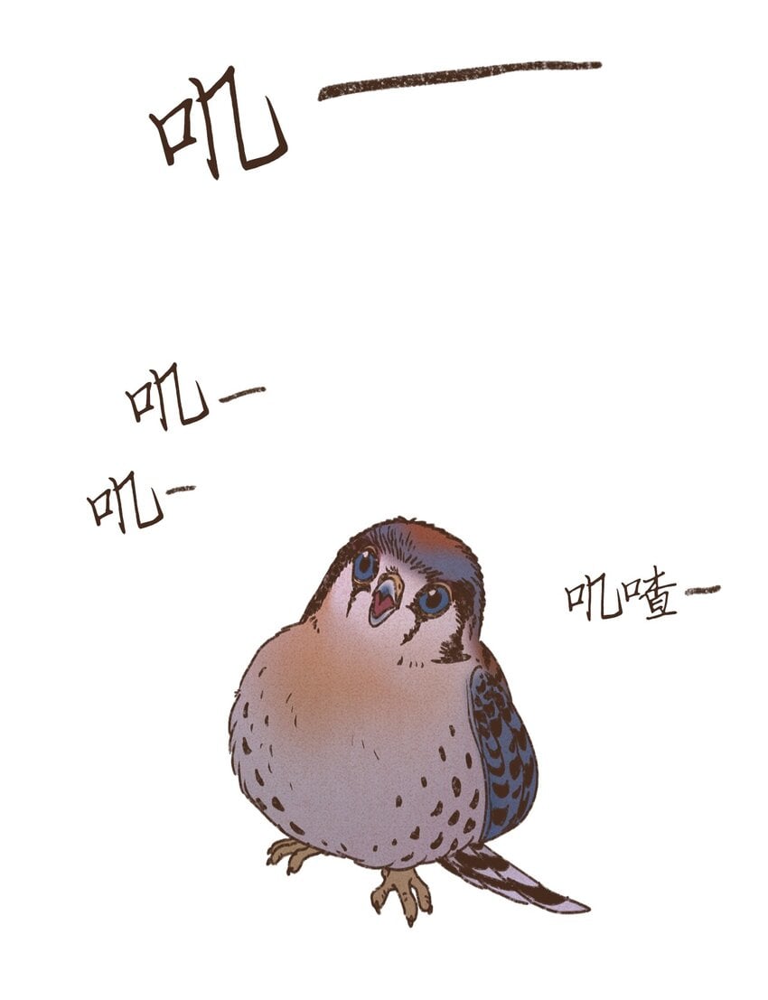 64.jpg