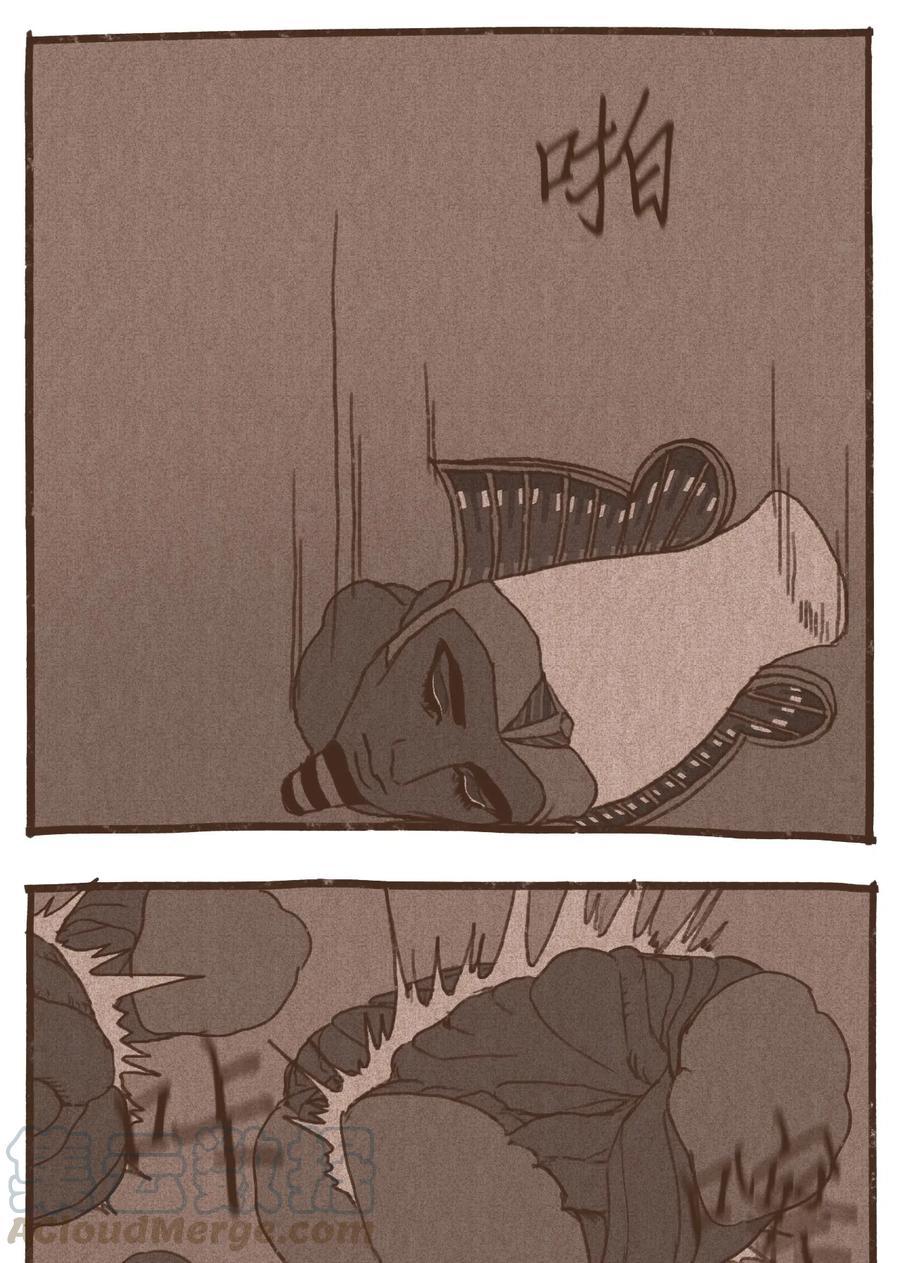 41.jpg