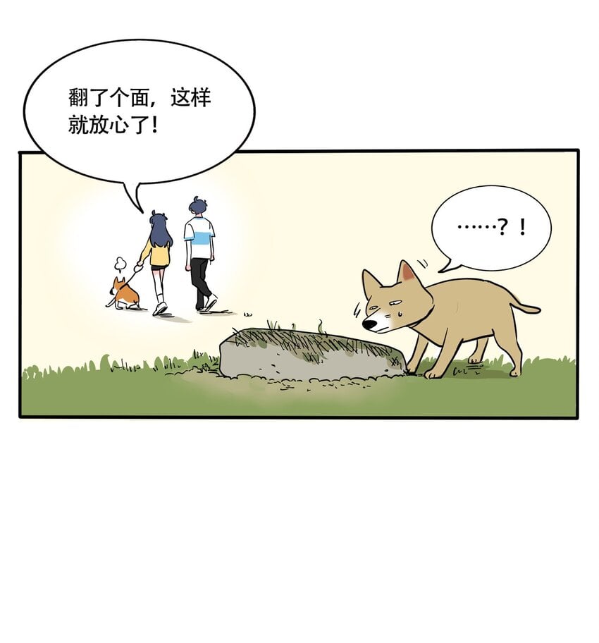 13.jpg