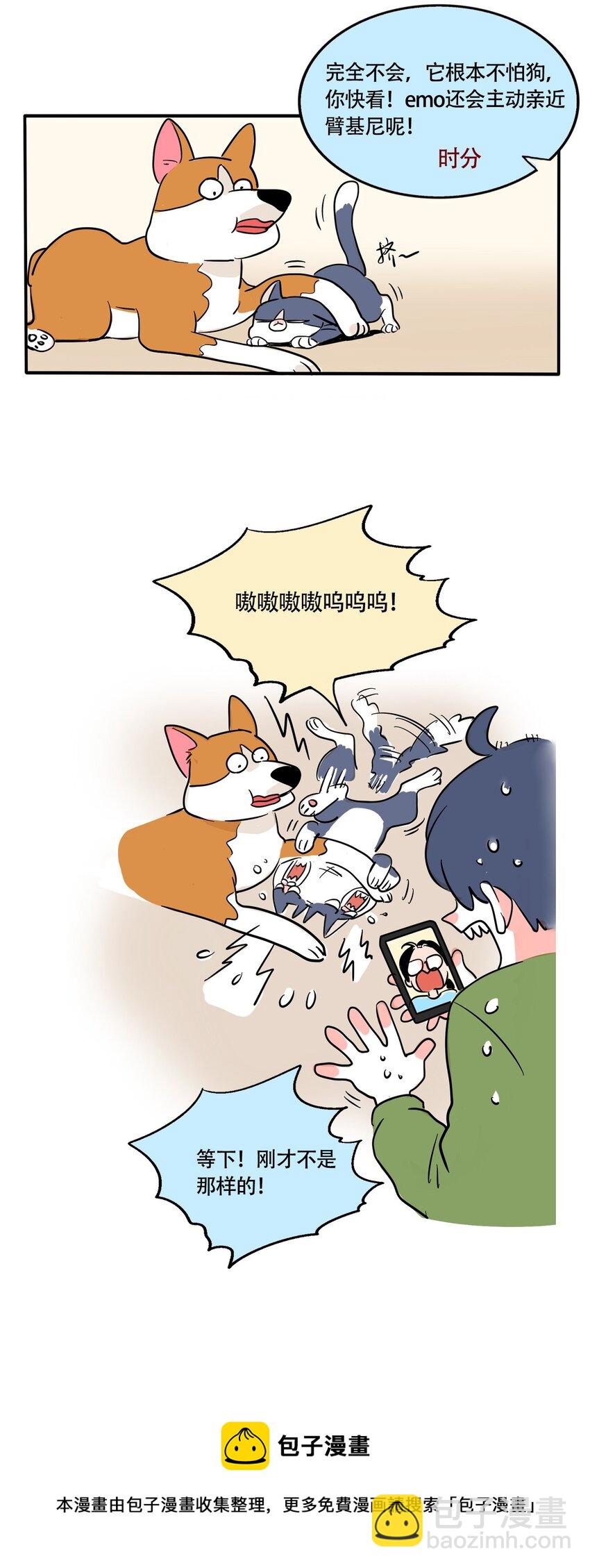 18.jpg