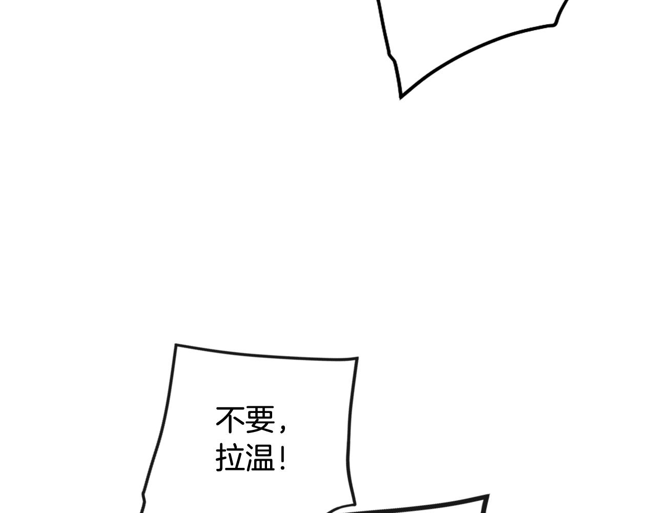 164.jpg