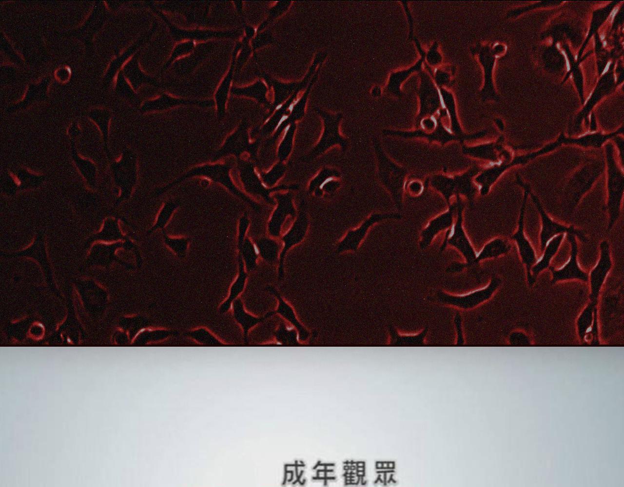 末日大事件DLC大流行 - 第四集 - 1