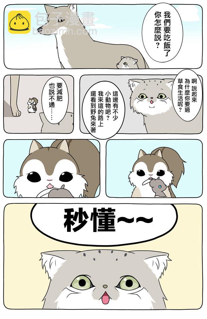 某日的郊狼和花栗鼠 - 16話 - 2
