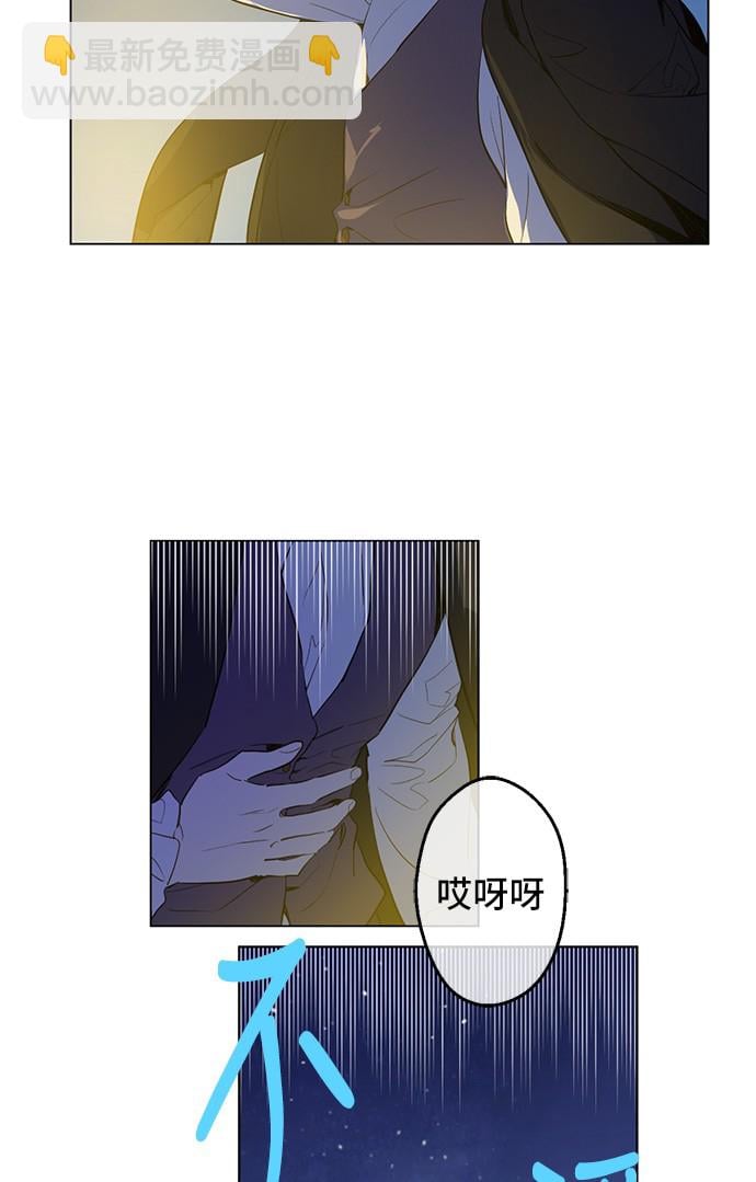 81.jpg