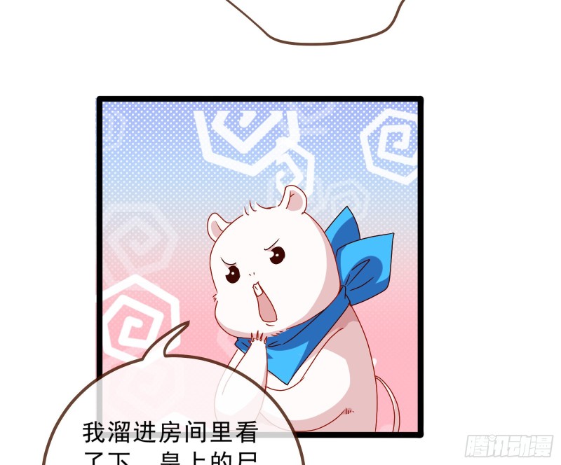 88.jpg