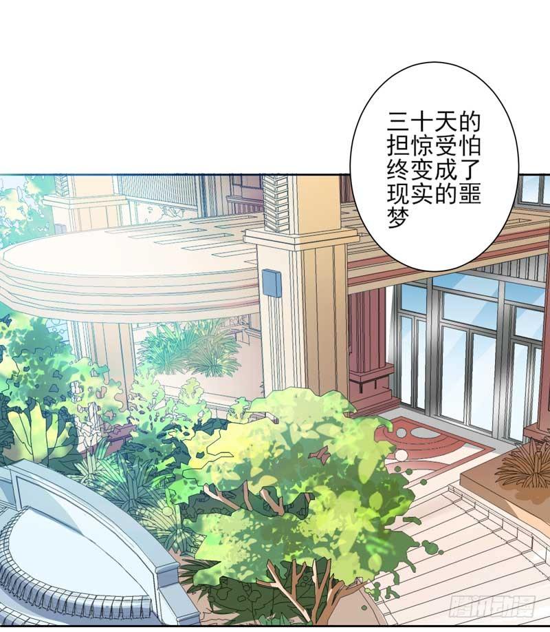 契婚 - 004.少爺回來了 - 2