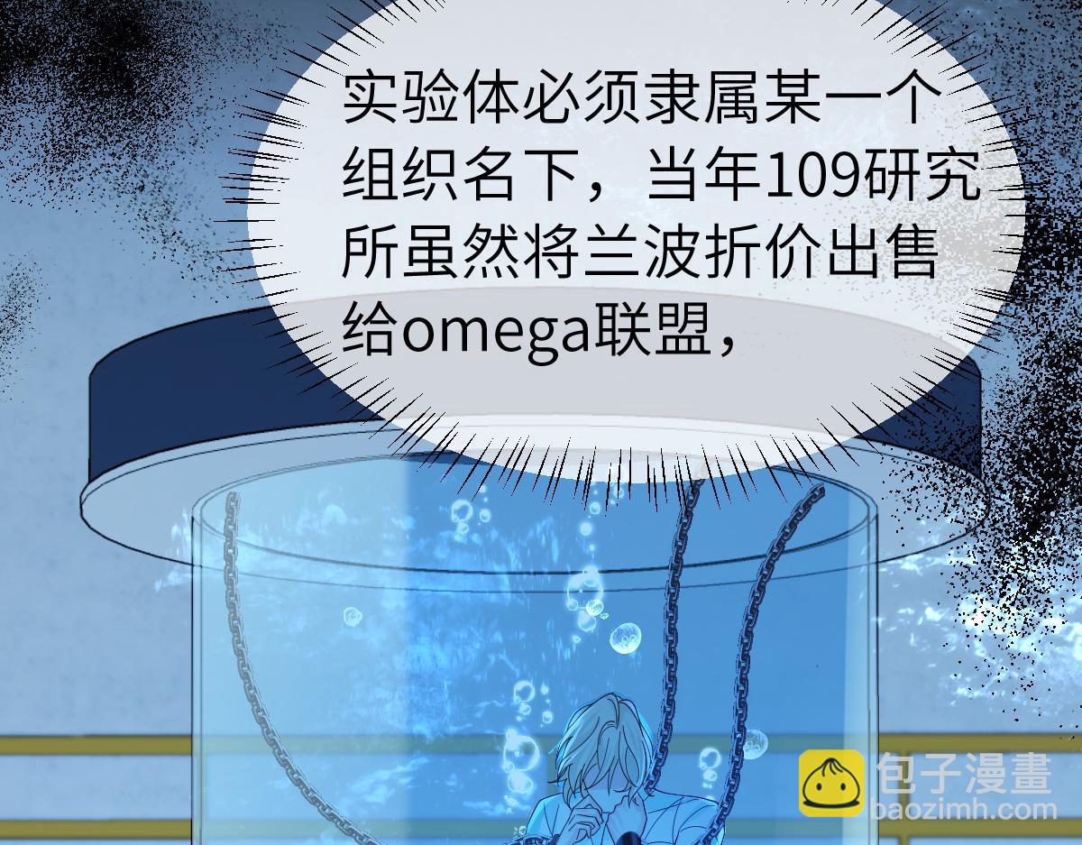 195.jpg