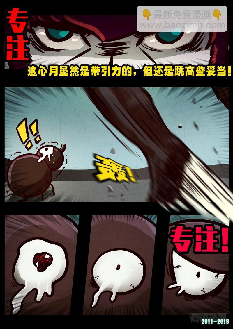 15.jpg