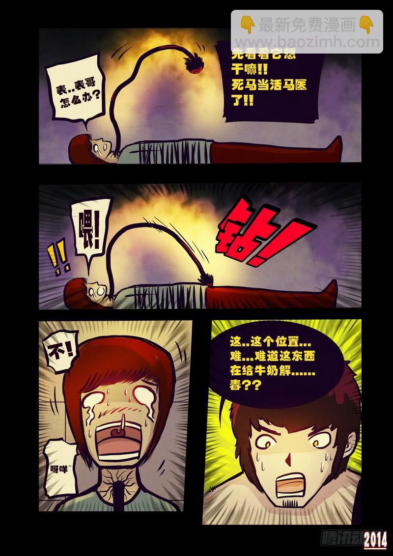 11.jpg