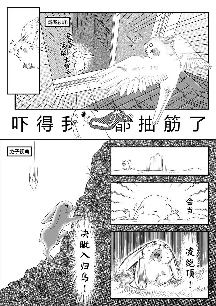 兔子抑鬱怎麼辦 - 02上天 - 2