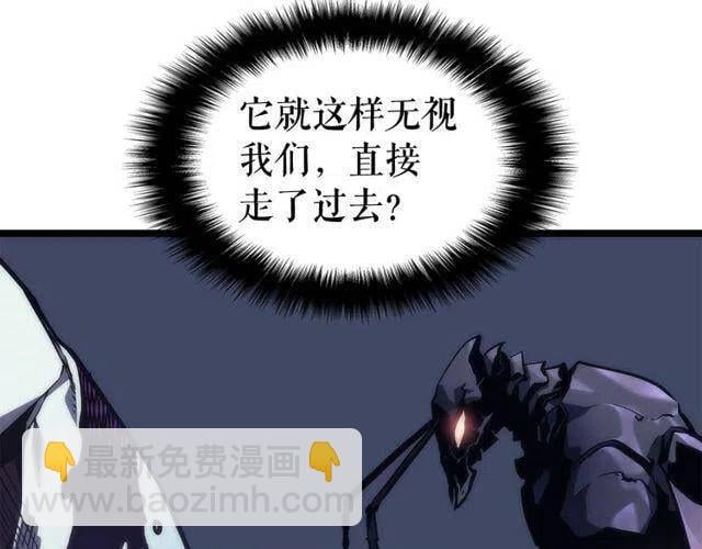 78.jpg