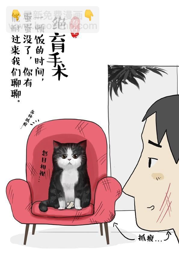 吾皇巴扎黑 - 第2話 傲嬌是貓的原則 - 2