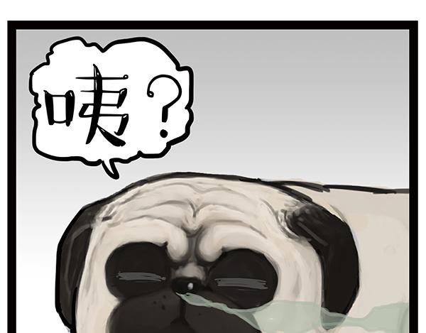 吾皇巴扎黑 - 第240話 放屁第一名(1/2) - 3