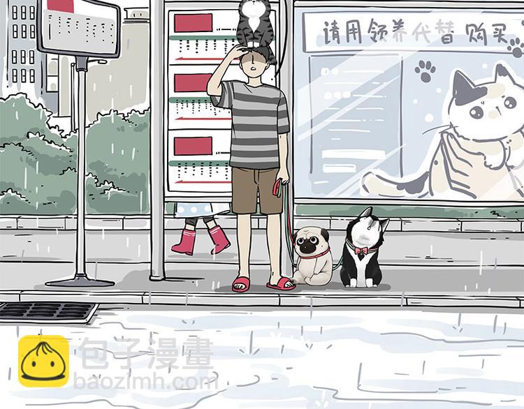 吾皇巴扎黑 - 第282話 型男（貓） - 2