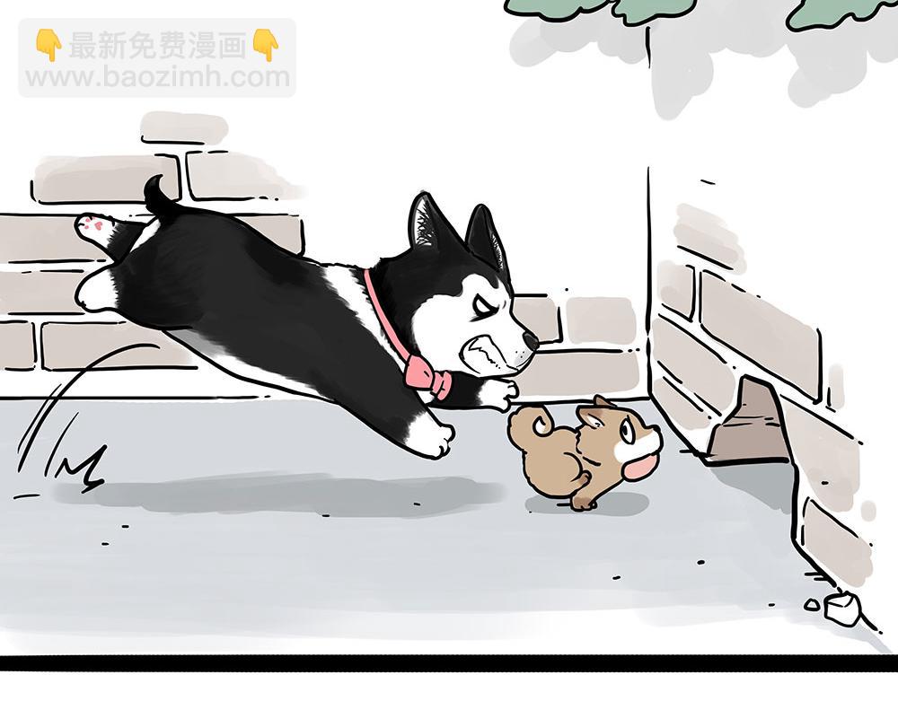 吾皇巴扎黑 - 第438話 “壞心”辦好事 - 3