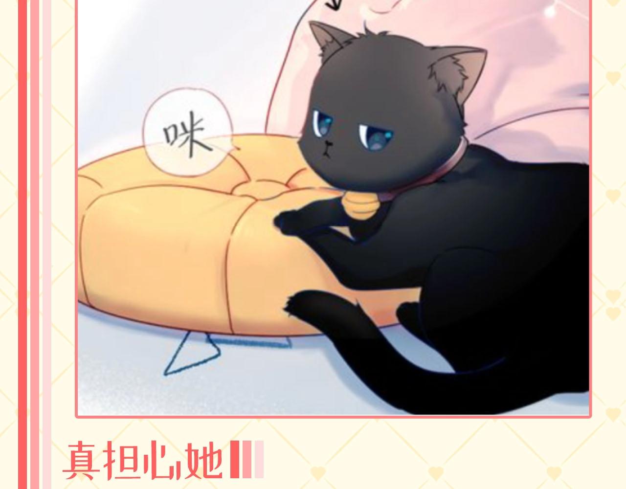 星辰於我 - 第40期 貓貓仙貝的悠閒生活 - 3