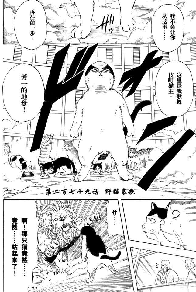 银魂 - 第279话 野猫哀歌 - 2