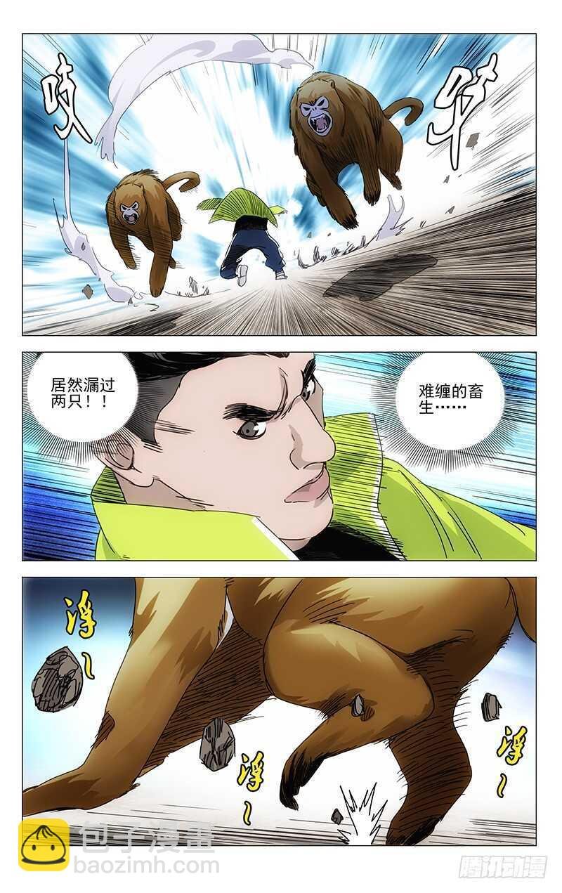 29.jpg