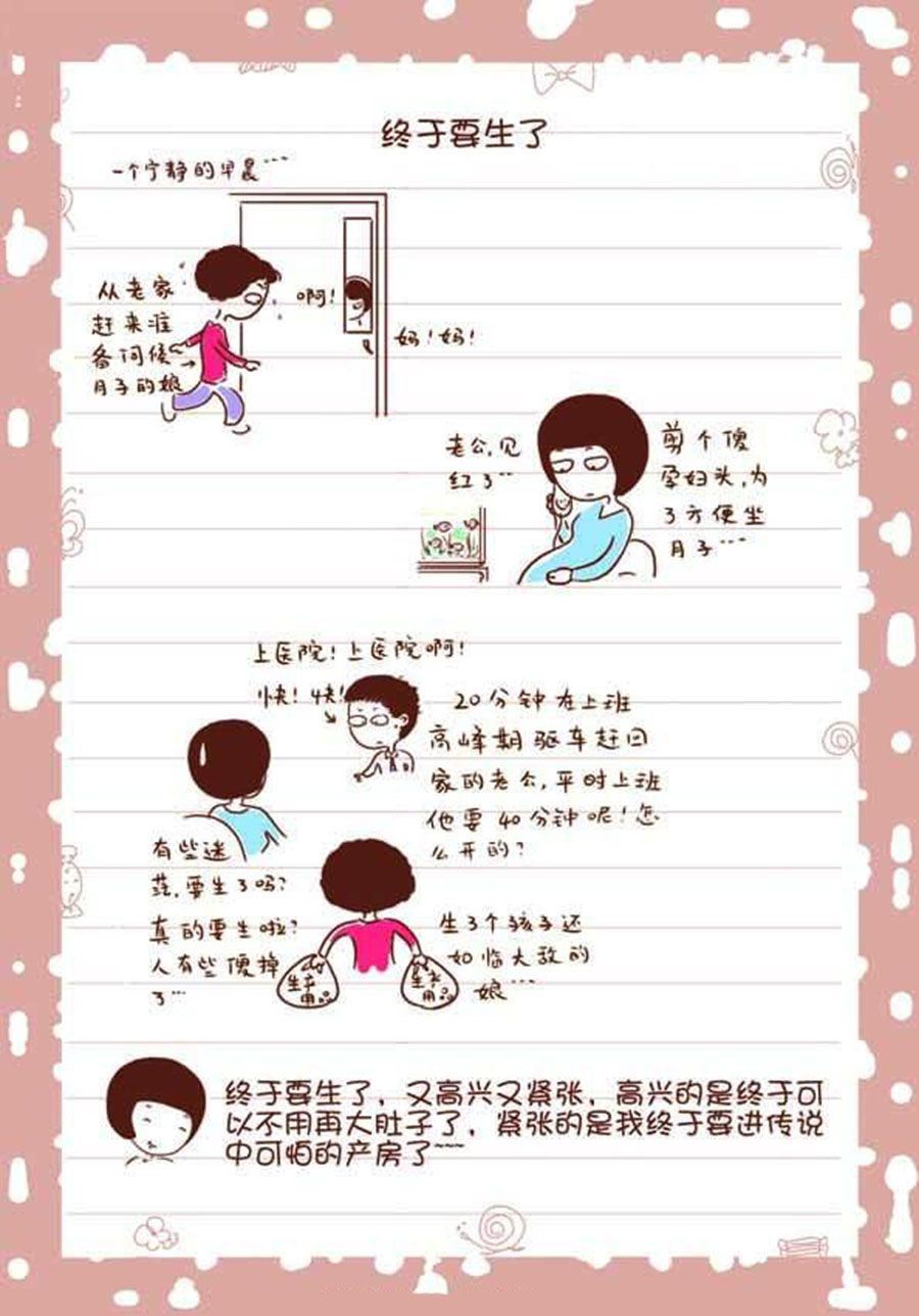 孕期日記 - 孕期日記 第2集 - 2